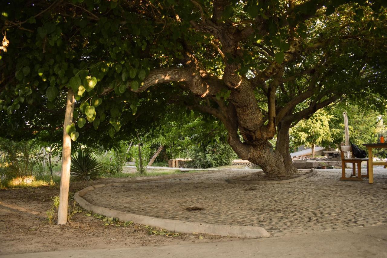 Cabanas De La Bodega Romano-Pin Albardón Eksteriør bilde