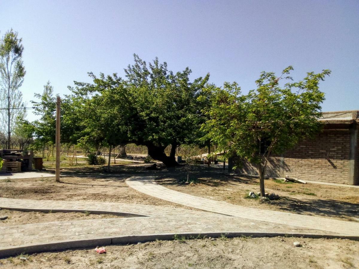 Cabanas De La Bodega Romano-Pin Albardón Eksteriør bilde